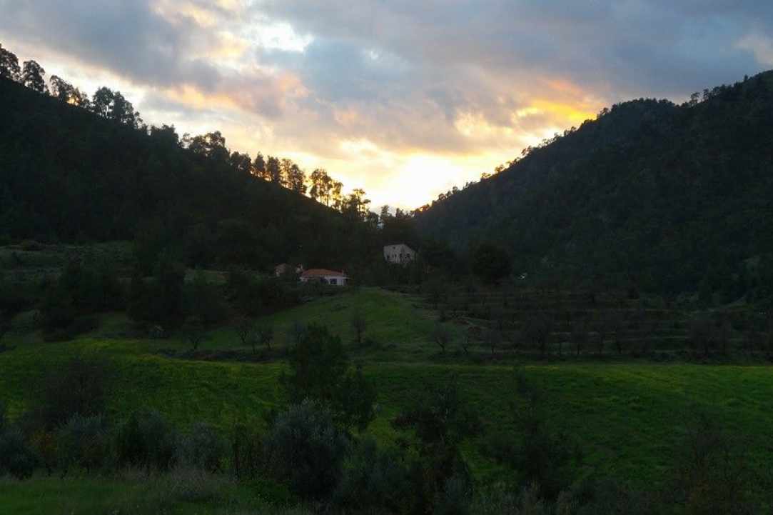 Νικητάρι 