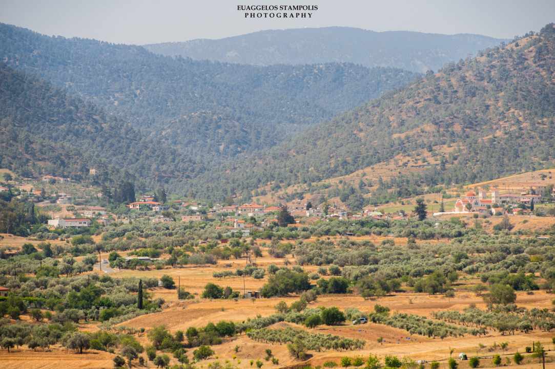 Νικητάρι 