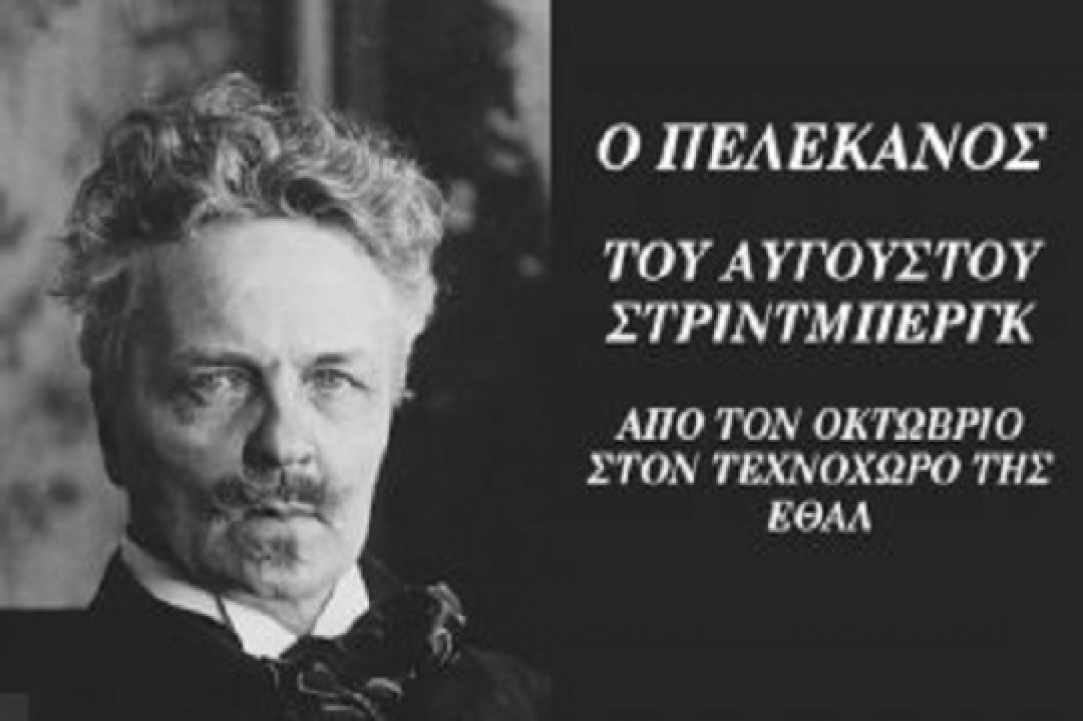 Θεατρική παράσταση «Ο Πελεκάνος» gallery image
