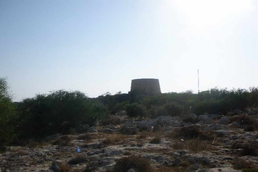 Ο Πύργος του Ξυλοφάγου