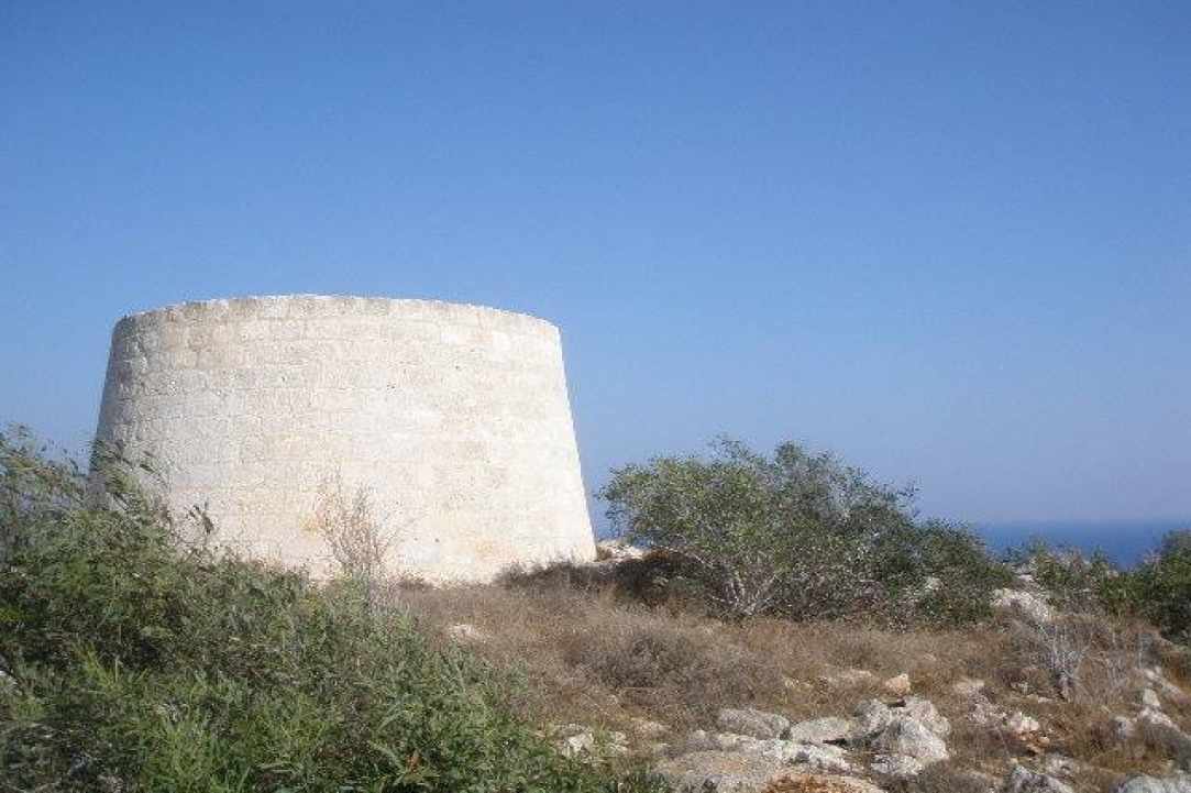Ο Πύργος του Ξυλοφάγου