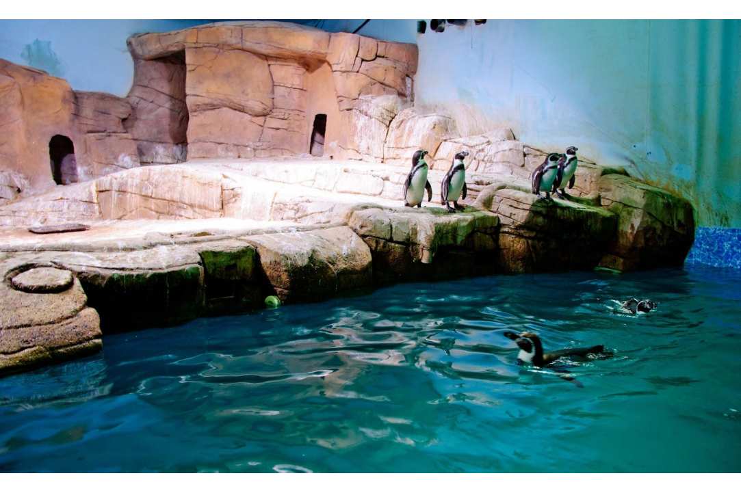 A Theme Park in Protaras that combines education and entertainment for all ages