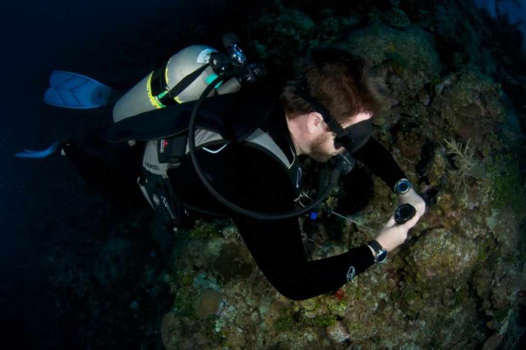 Dive Computers