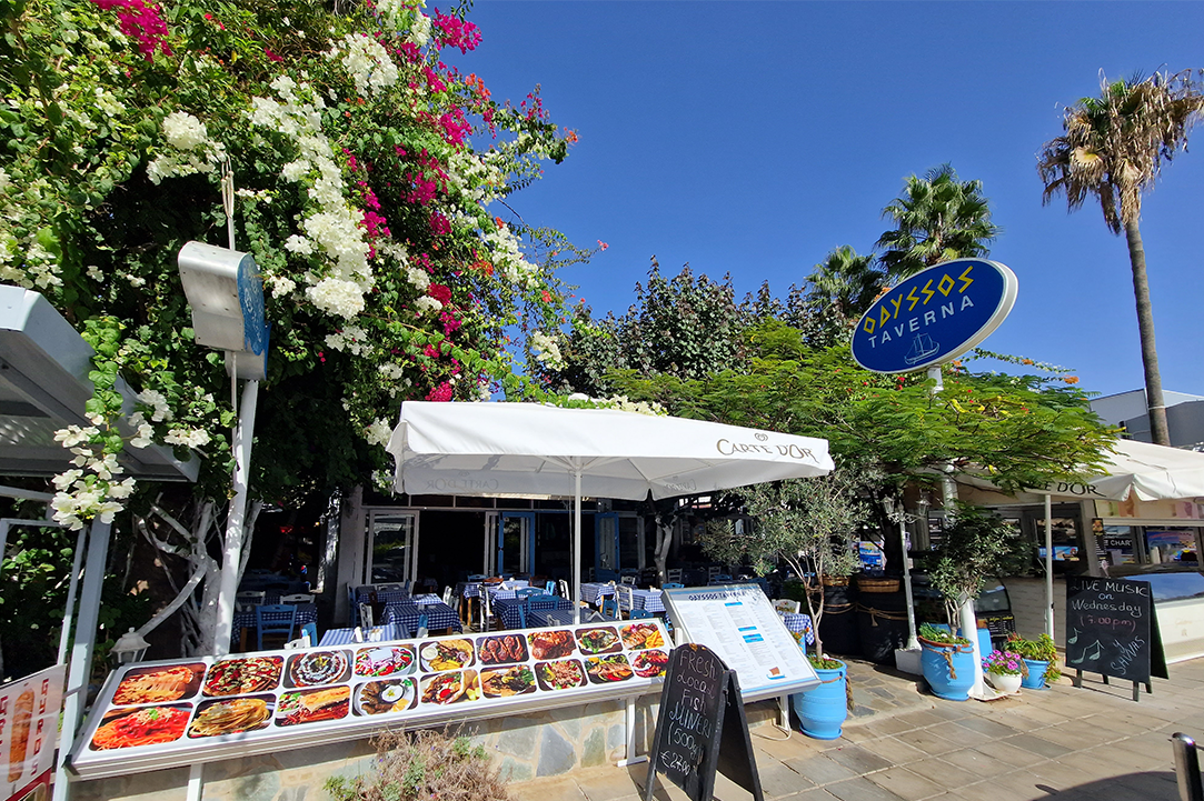 We discovered a tavern in Ayia Napa for mezedes and fresh fish all year round