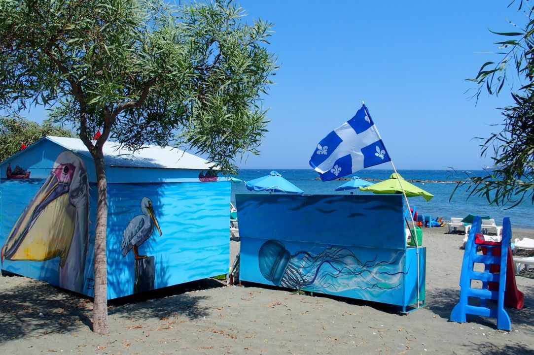 The Olympians Coast public services