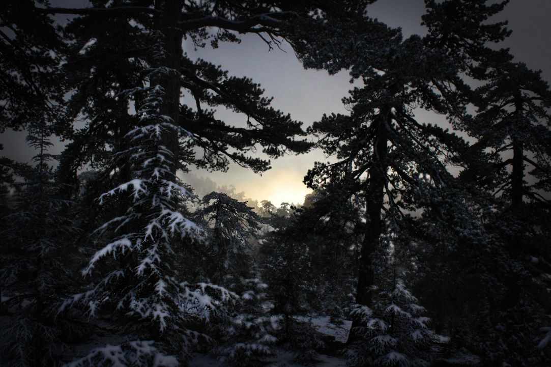 Snowy Mountains of Troodos