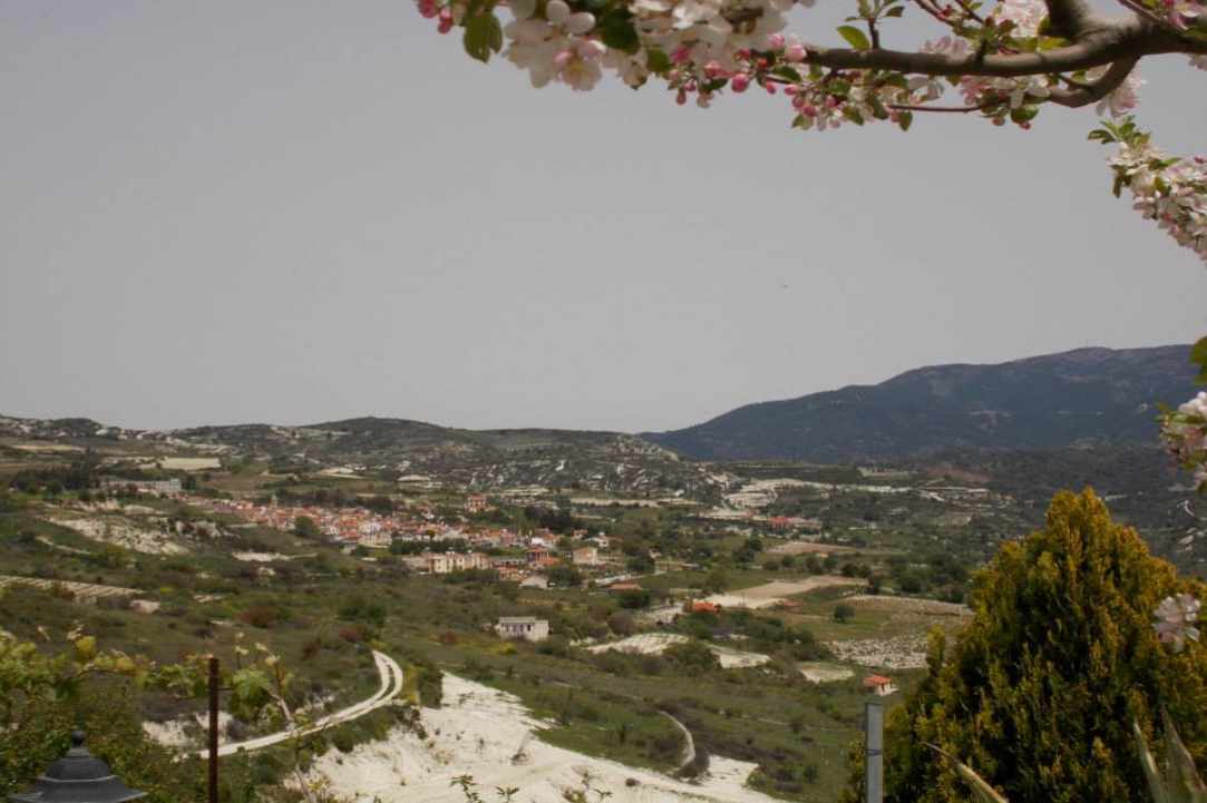 The Cyprus Wine Club gallery image 5