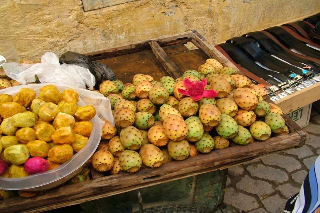 Prickly Pear