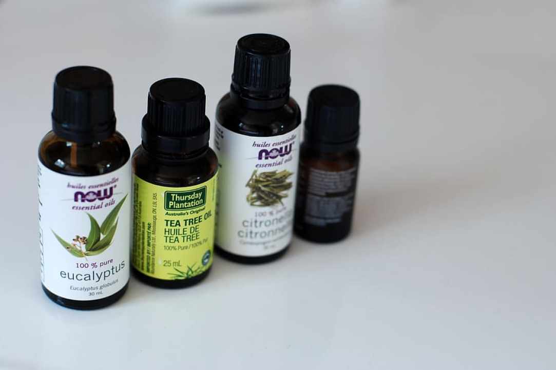 Oregano essential oil in our lives