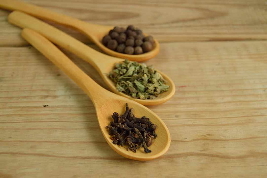 Oregano essential oil in our lives
