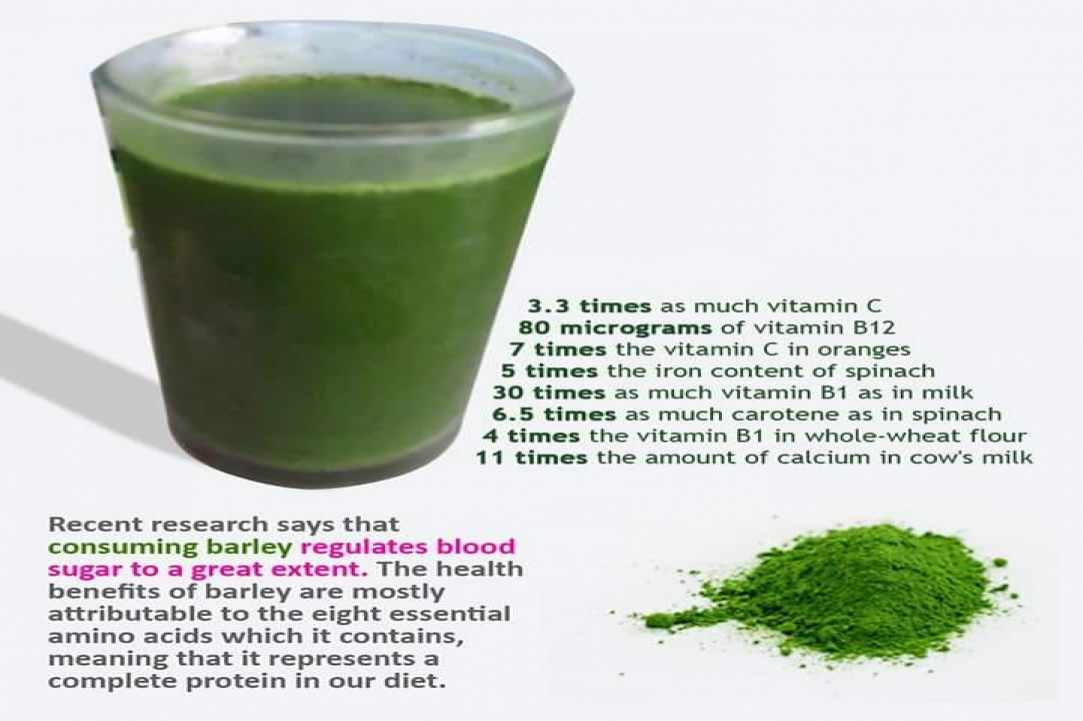 Organic Barley Grass  - the new Superfood now in Cyprus!