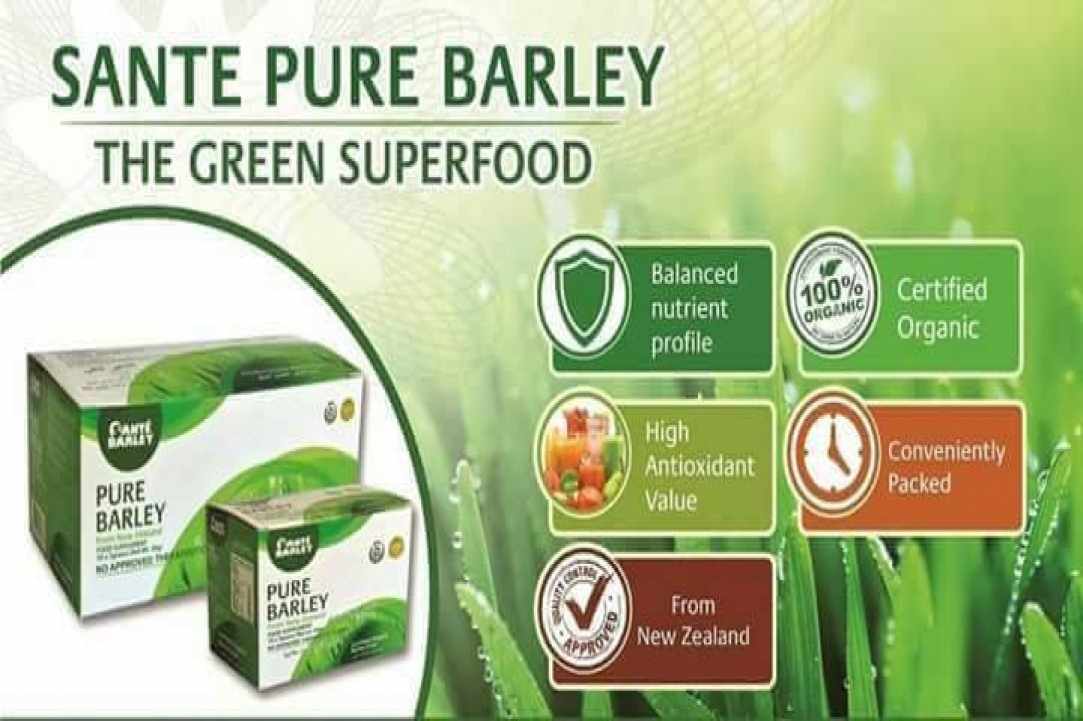 Organic Barley Grass  - the new Superfood now in Cyprus!