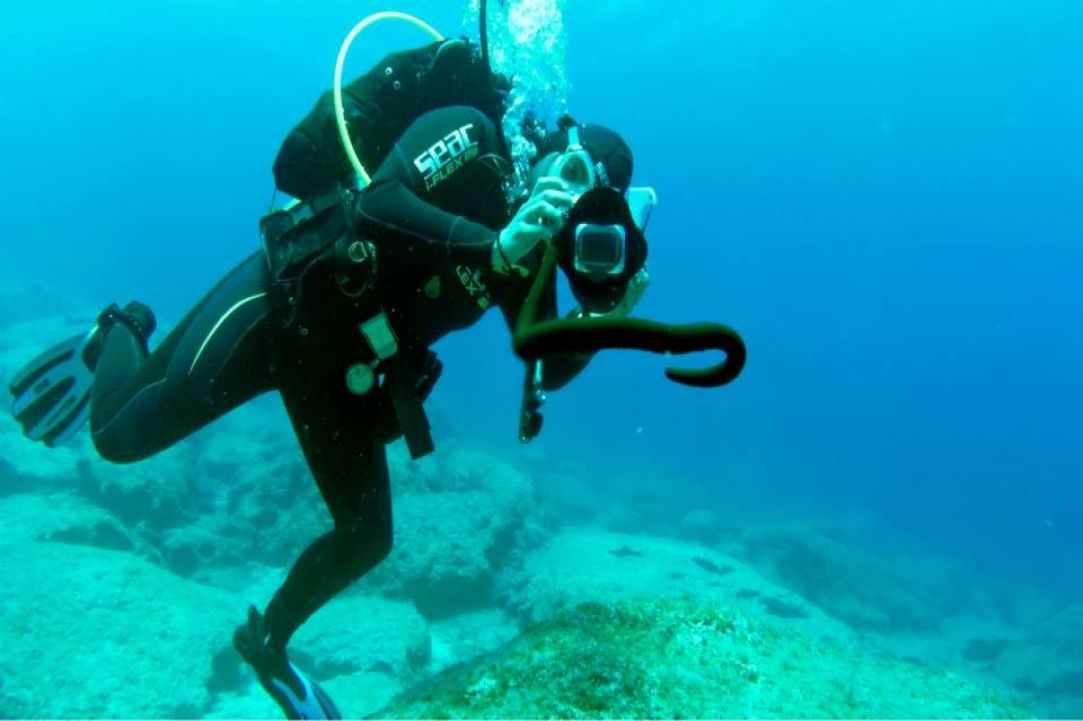 Fun Dive