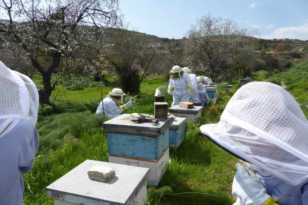More than a Wine-Tour, a chance to be shown some of the stunning scenery of Cyprus