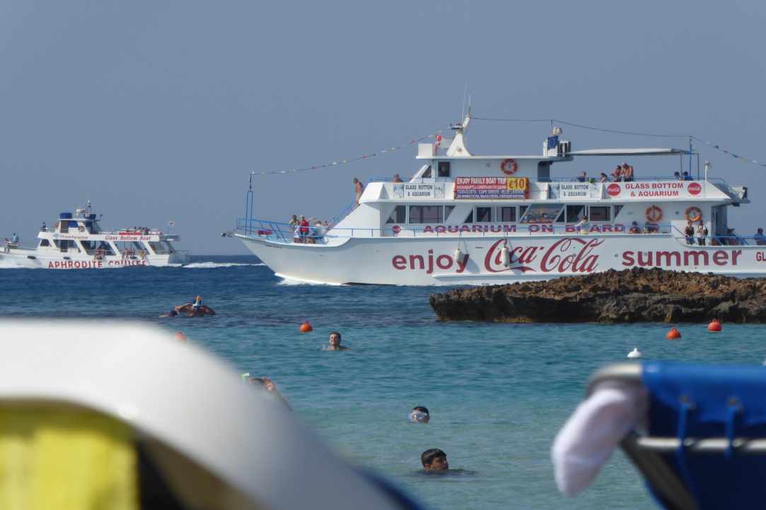 The Magical Pull of Fig Tree Bay