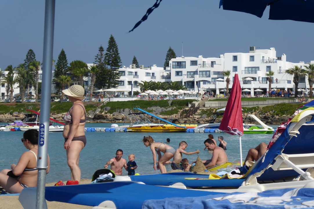 The Magical Pull of Fig Tree Bay