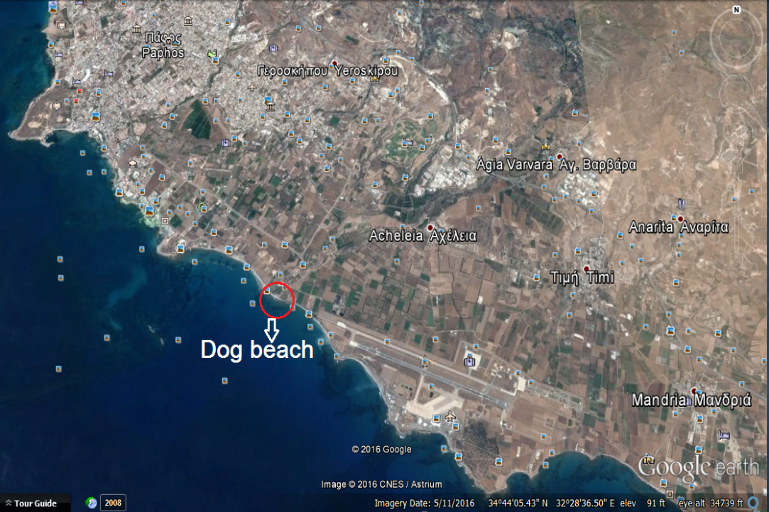 Dog Friendly Beaches in Cyprus