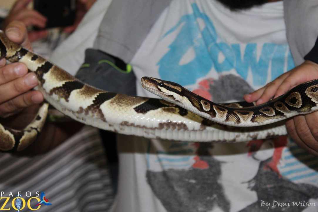 Pafos Zoo 