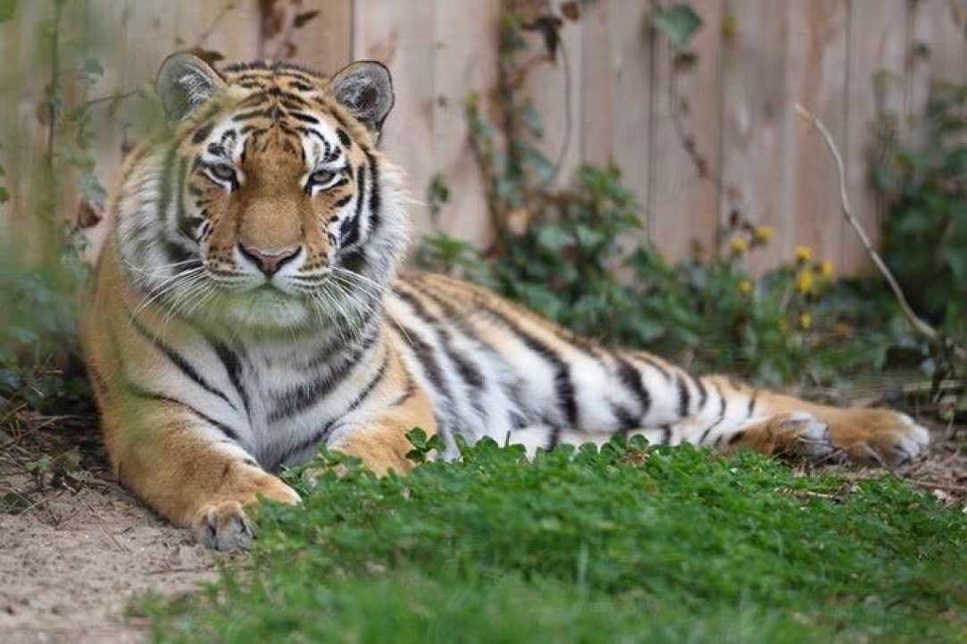 Pafos Zoo 