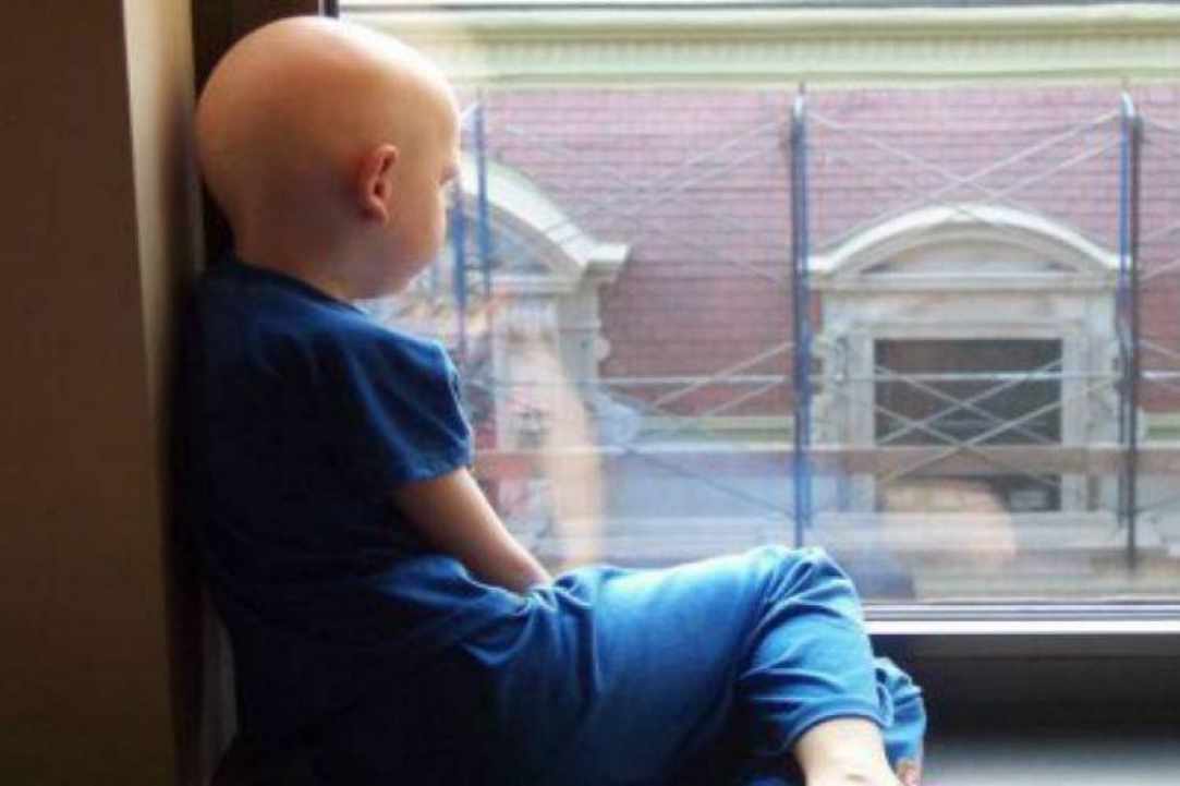 15.000 Λούτρινα Αρκουδάκια φιγουράρουν στην εξέδρα της Χέρενφεϊν