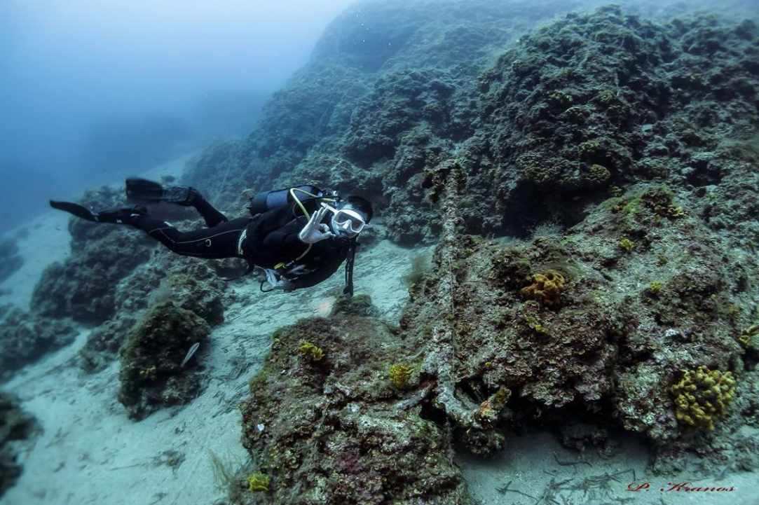 PADI Women's Dive Day 2017