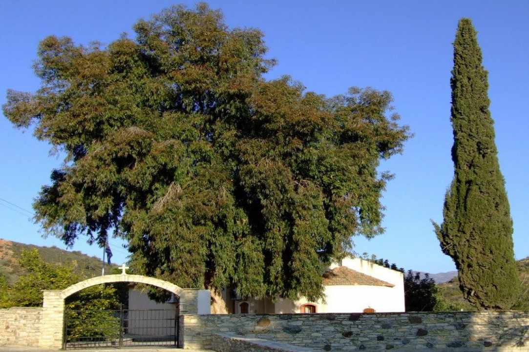 O ναός αφιερωμένος στην Κοίμηση της Θεοτόκου στην Λάγια