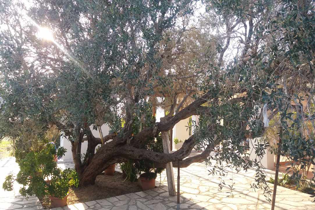 Εξωκλήσι και σπηλιά Παναγίας Ευαγγελίστριας