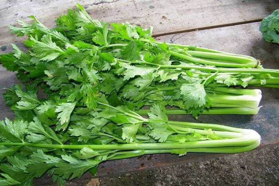 Τα Καλύτερα Τρόφιμα  για Ενυδάτωση