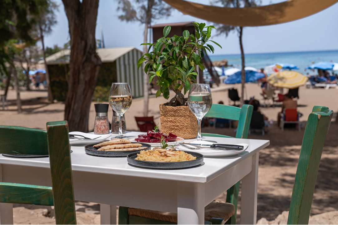 A "hidden" oasis overlooking the sea