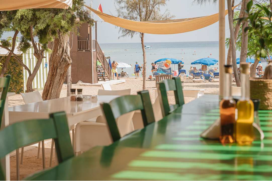 A "hidden" oasis overlooking the sea