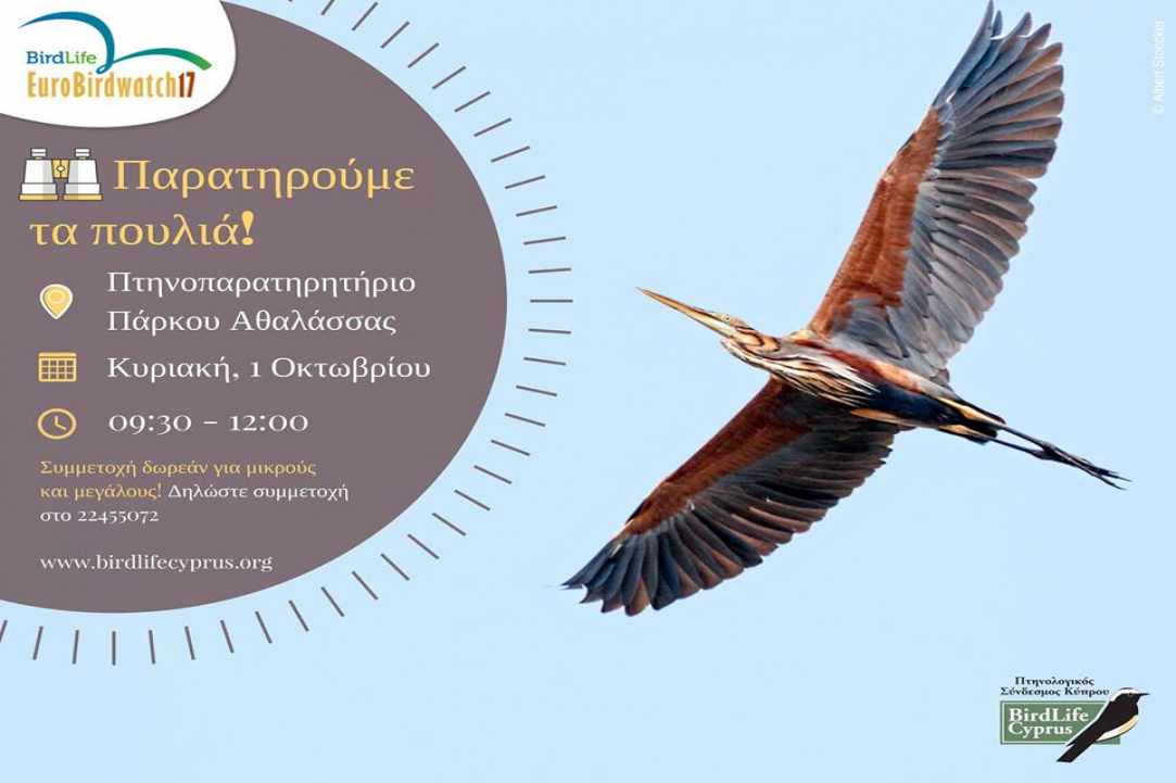 Παρακολούθηση της φθινοπωρινής μετανάστευσης άγριων πουλιών: Κυριακή 1 Οκτωβρίου
