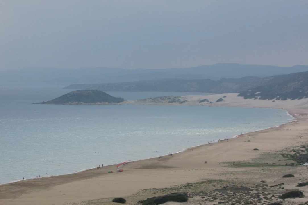 Παχύαμμος