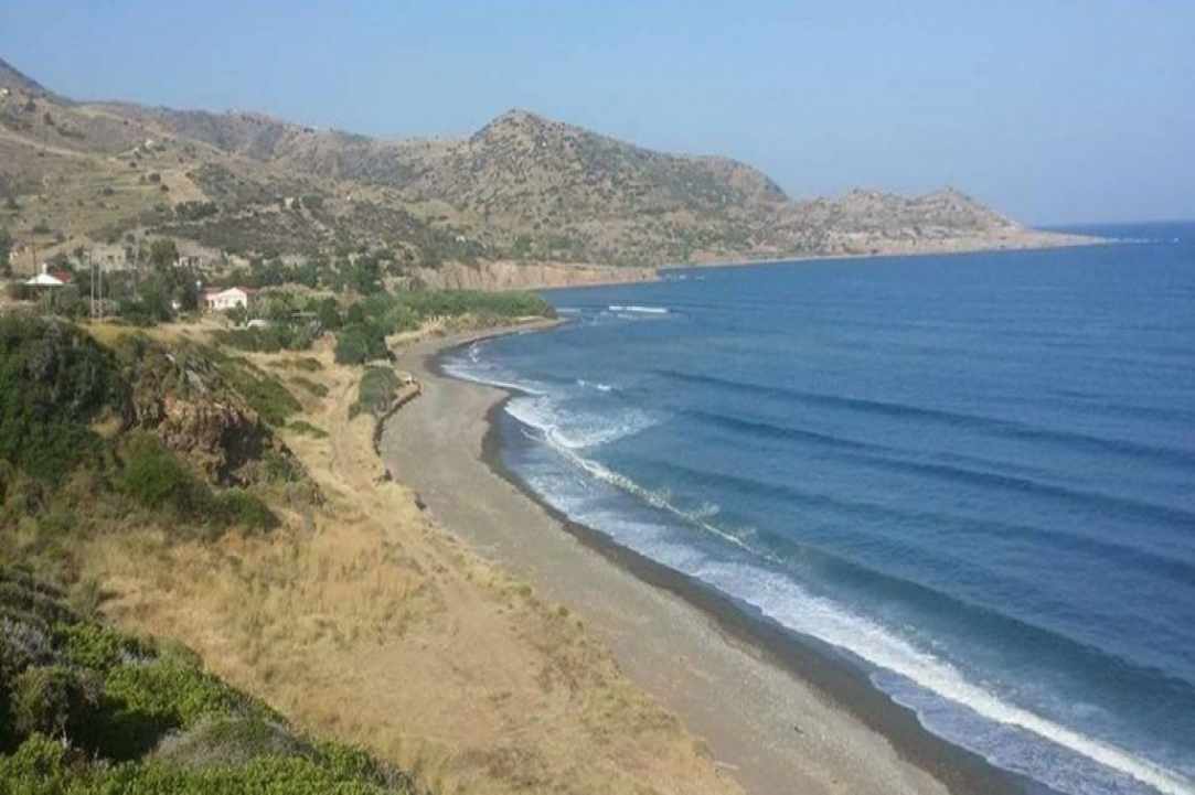 Πηγαίνια Τηλλυρίας