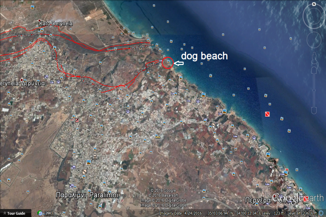 Dog Friendly Beaches in Cyprus