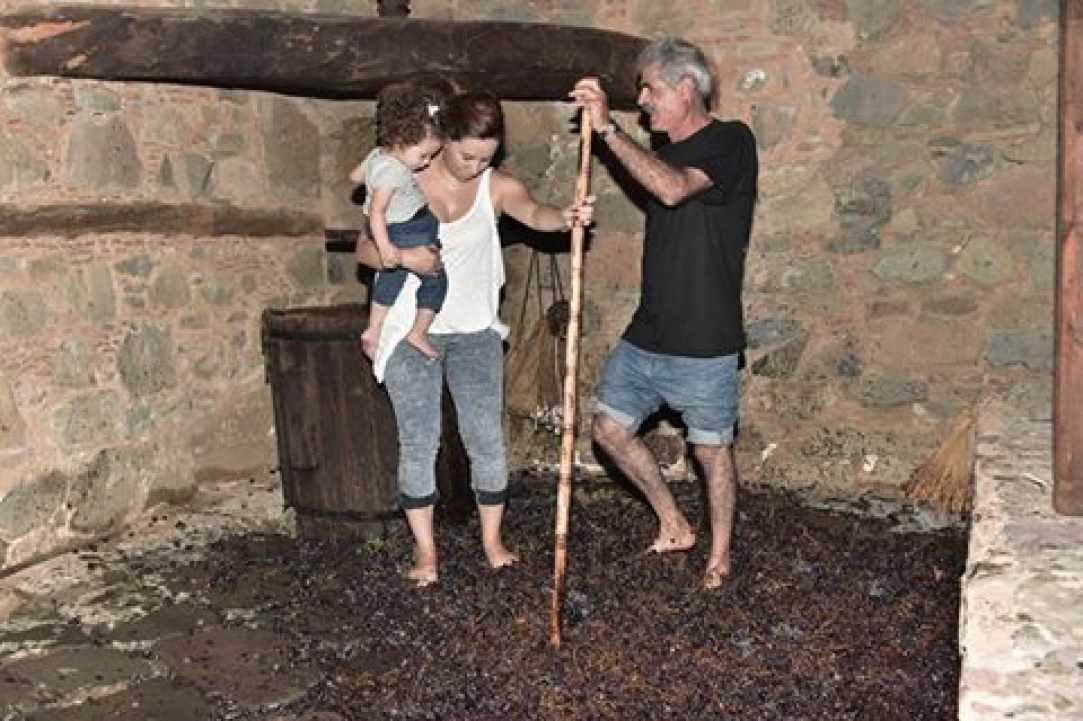 Φεστιβάλ Παράδοσης, Φικάρδου 2017 «Ταξιδεύοντας στα Μονοπάτια της Παράδοσης»!
