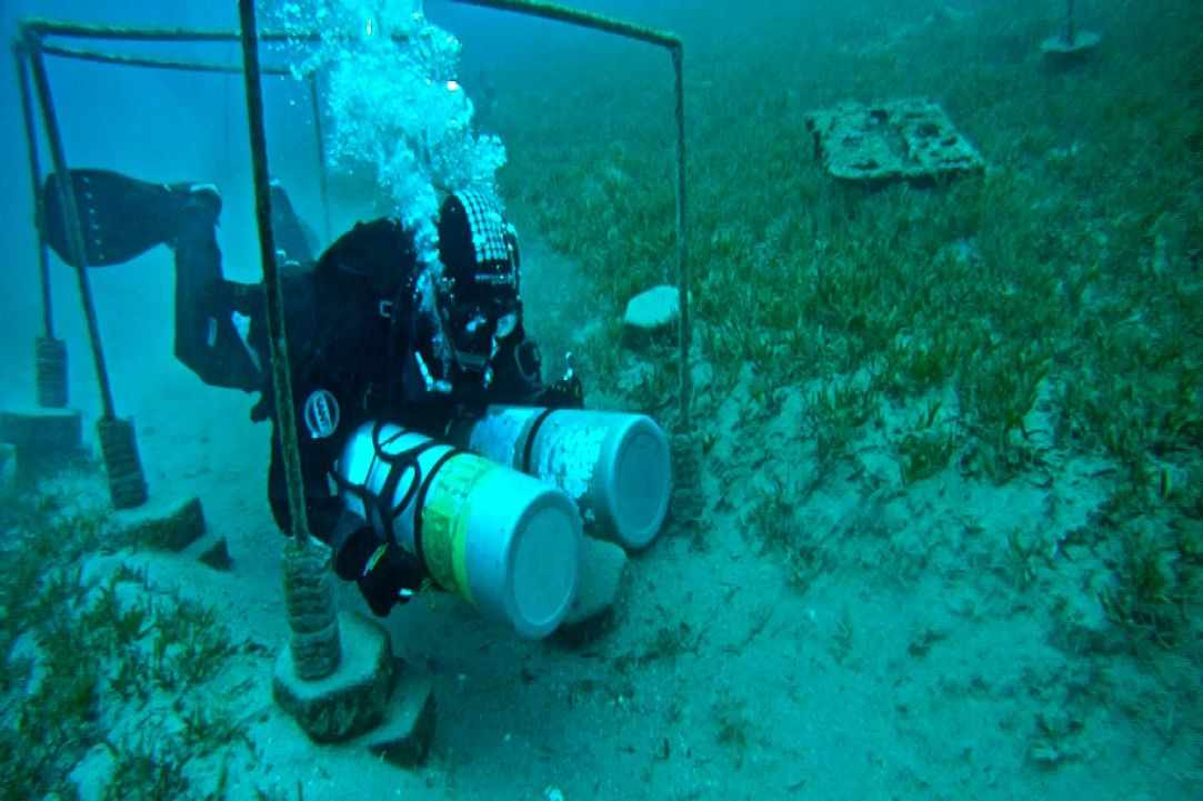 Sidemount Diving