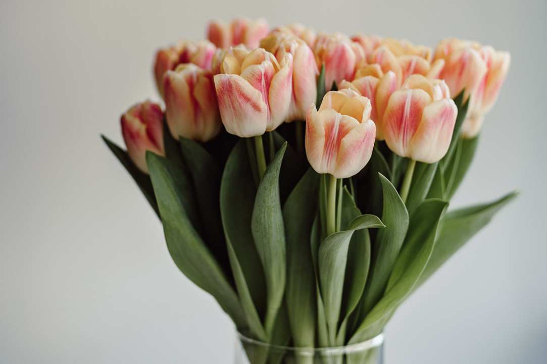 Different Types of Flowers in Cyprus