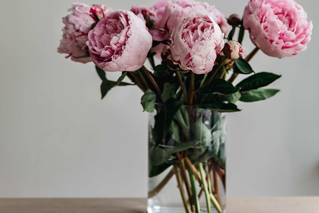 Different Types of Flowers in Cyprus