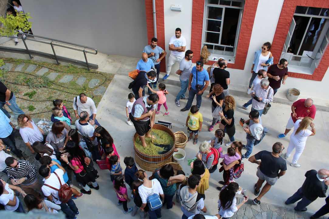 Feast of the Harvest