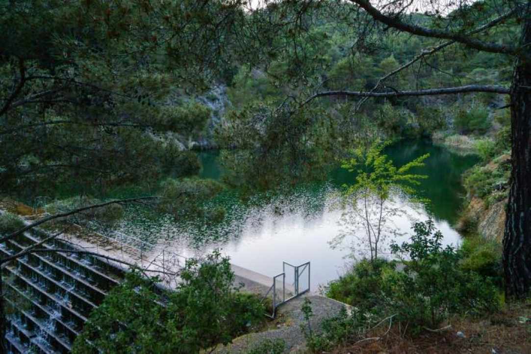 1611 δέντρα θα κοπούν στο χωριό Πέρα Πεδί