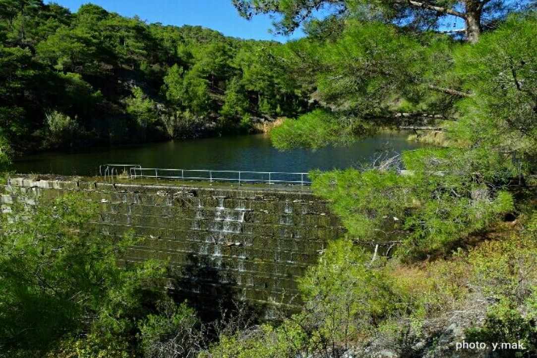 1611 δέντρα θα κοπούν στο χωριό Πέρα Πεδί