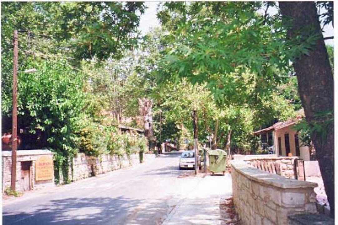 1611 δέντρα θα κοπούν στο χωριό Πέρα Πεδί