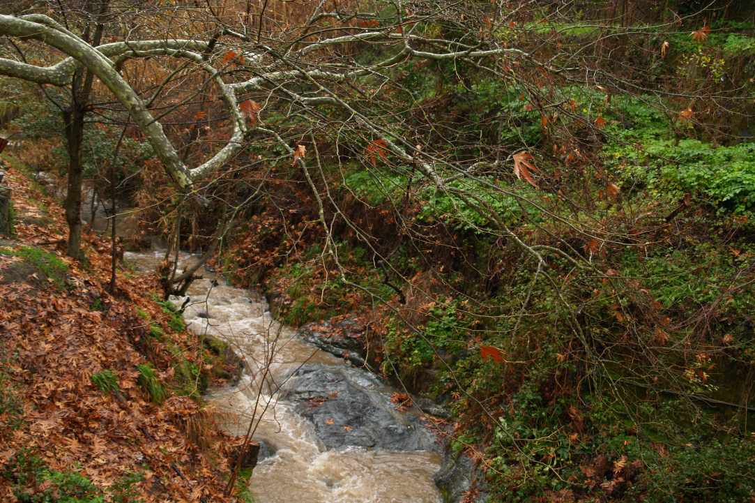  Walking Festival: 4th March - 13th May 2018