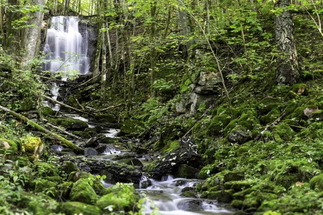 Πεζοπορία στο μονοπάτι της φύσης Καληδόνια