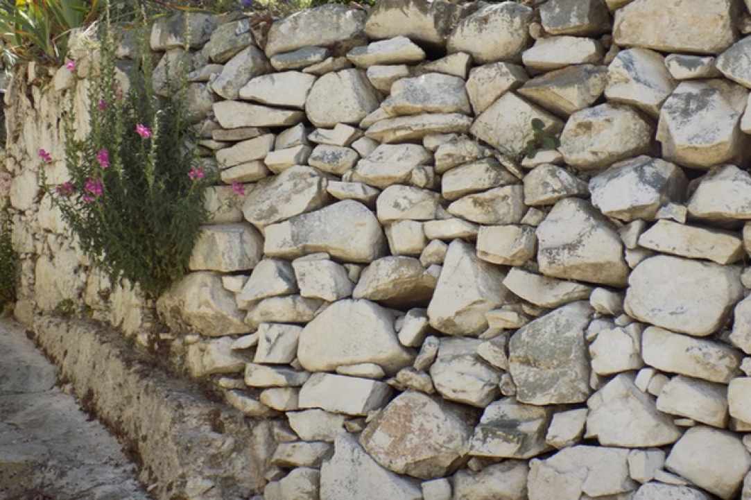 Εκδρομή στον Άγιο Ιωάννη του Αγρού