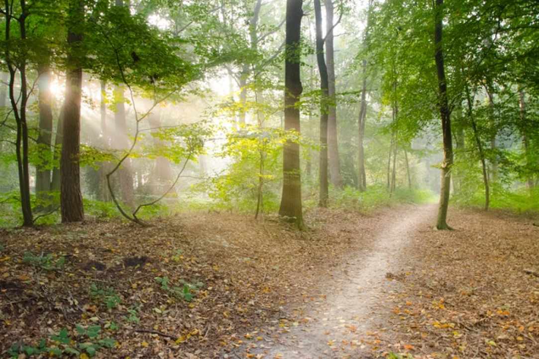 Πεζοπορία στο μονοπάτι της φύσης Καληδόνια