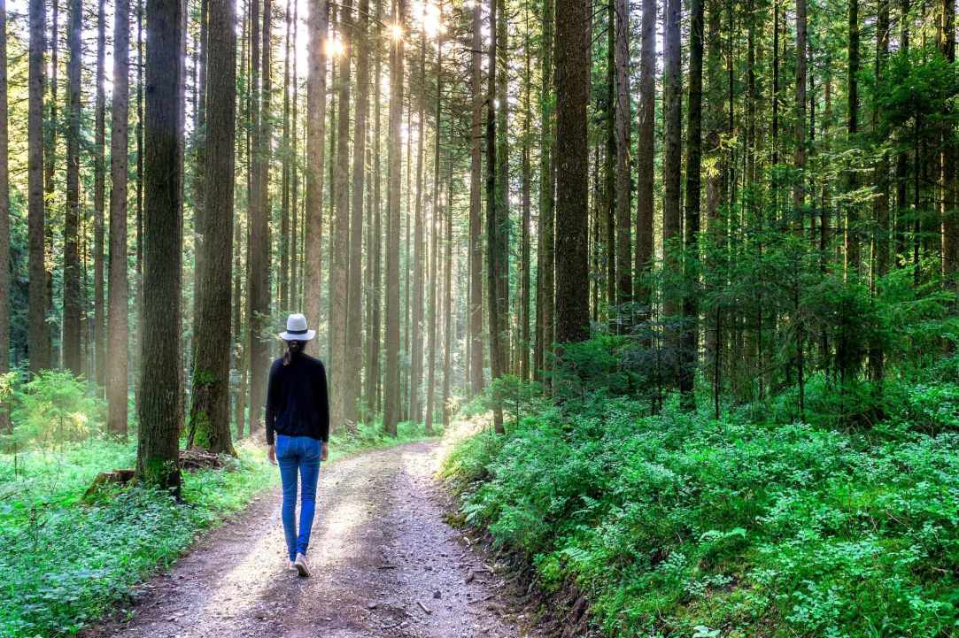 How mental health affects our overall health