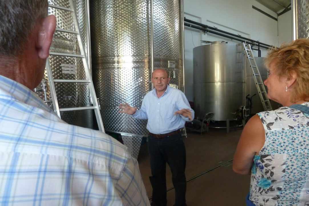 Go on a Wine Tour