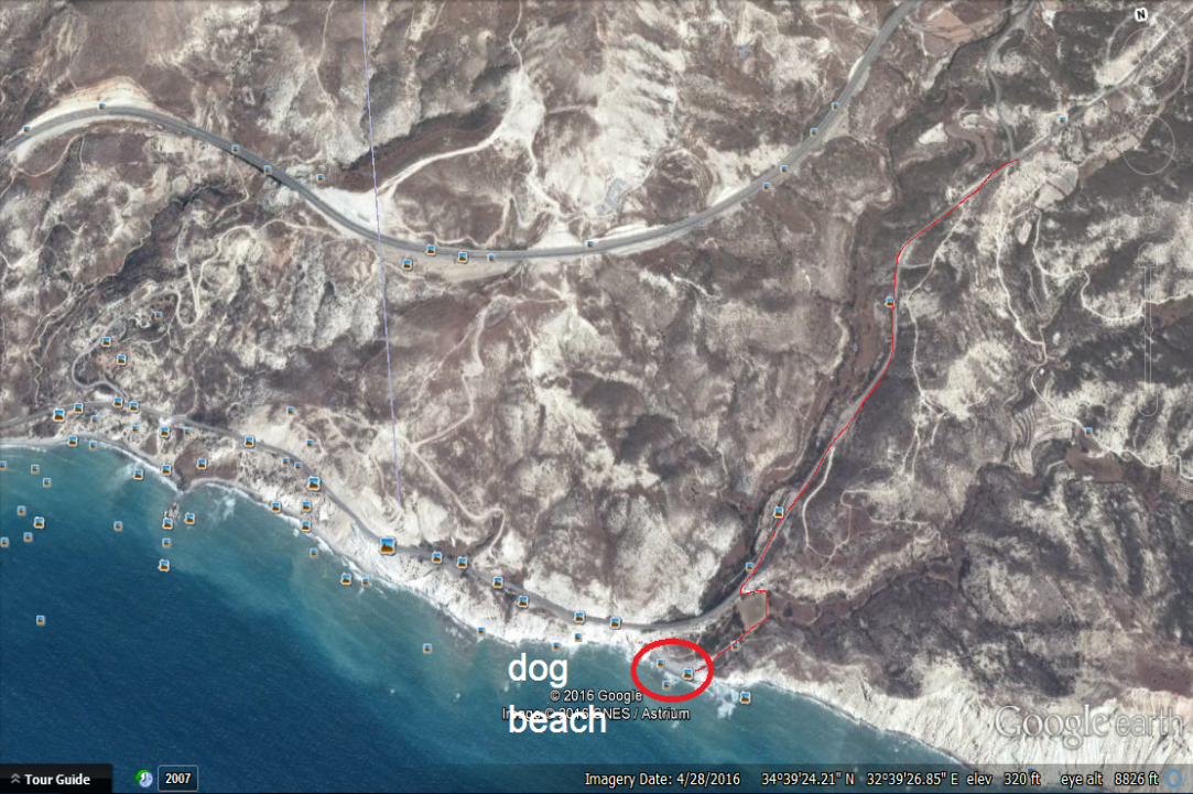 Dog Friendly Beaches in Cyprus