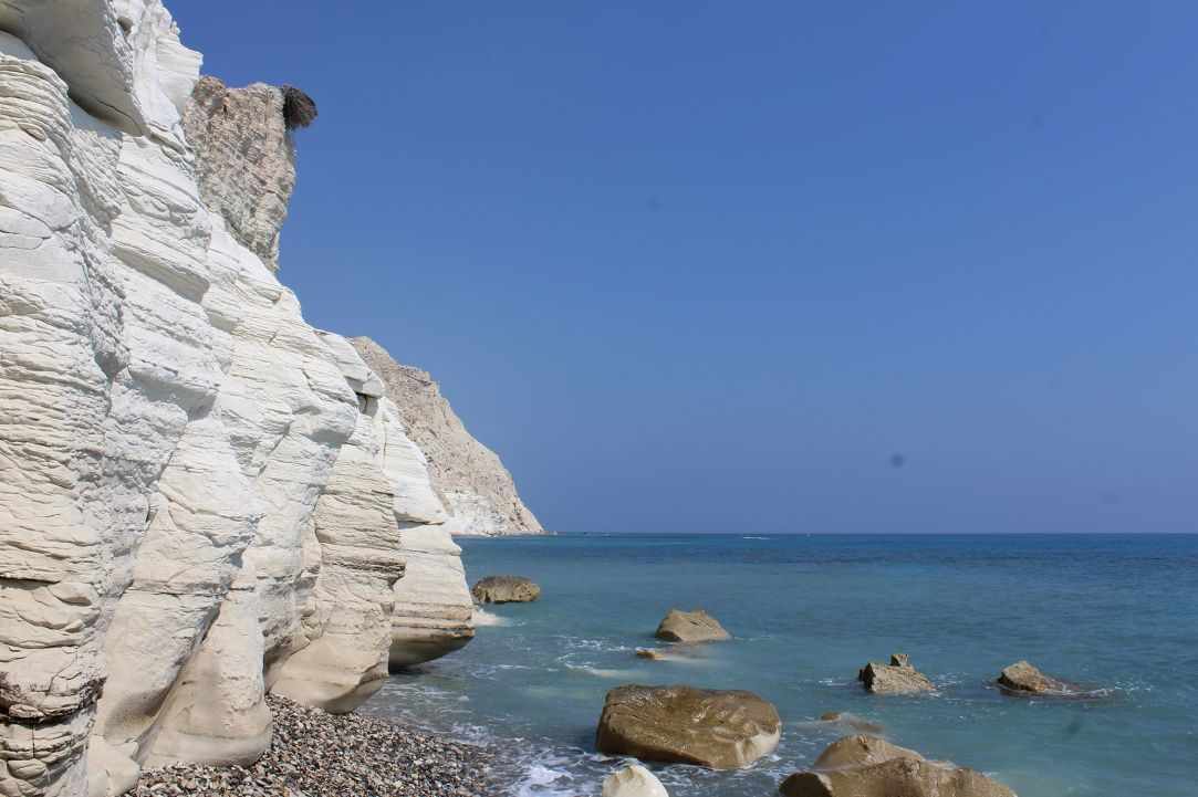 Dog Friendly Beaches in Cyprus
